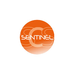 Télécommande de portail SENTINEL