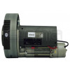 Moteur PUJOL WINNER 600_200EF