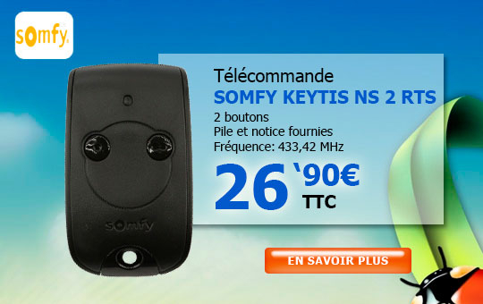 Télécommande SOMFY KEYTIS-NS-2-RTS